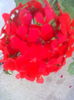 ABCD0015