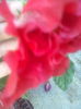 ABCD0002