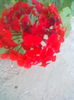 ABCD0011