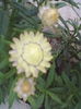ABCD0008
