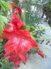 ABCD0009