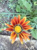 ABCD0010
