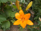 DSCN3108
