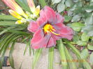 DSCN3122