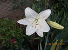 DSCN3128