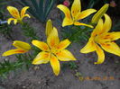 DSCN3139
