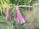 DSCN3161