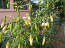 DSCN3171
