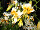 DSCN3228