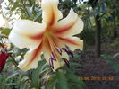 DSCN3189