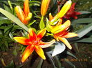 DSCN3206