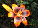 DSCN3213