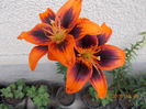 DSCN3261