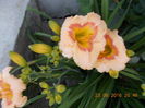 DSCN3201
