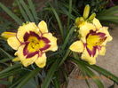 DSCN3267