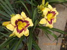 DSCN3268