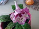 20160730_140501