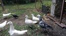 20160723_175754