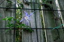 IMG_20160731_093939