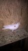 WP_20160730_22_41_48_Pro