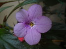 DSCN9674