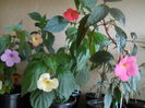 DSCN9675