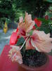 DSCN9677
