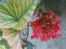 DSCN9680