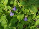 DSCN9687