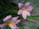DSCN9691
