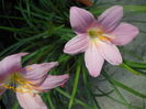 DSCN9692