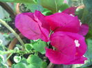 DSCN9696