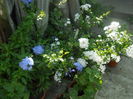 DSCN9697