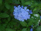 DSCN9699