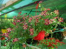 DSCN9703