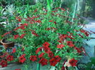 DSCN9706