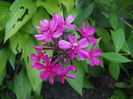 DSCN9719