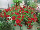 DSCN9748