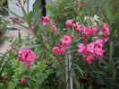 DSCN9755