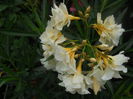 DSCN9756
