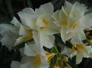DSCN9757