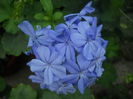 DSCN9777