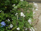 DSCN9778