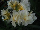 DSCN9790