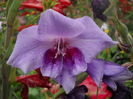 DSCN9800