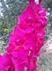 DSCN9801