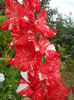 DSCN9802