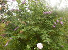 DSCN9819