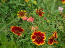 DSCN9824