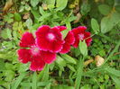 DSCN9832